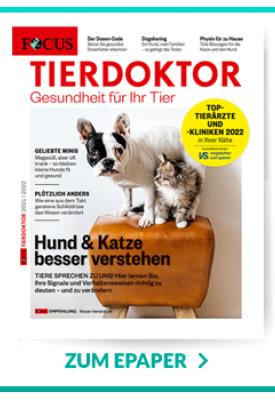 Banner des TierDoktor-Heftes 2021