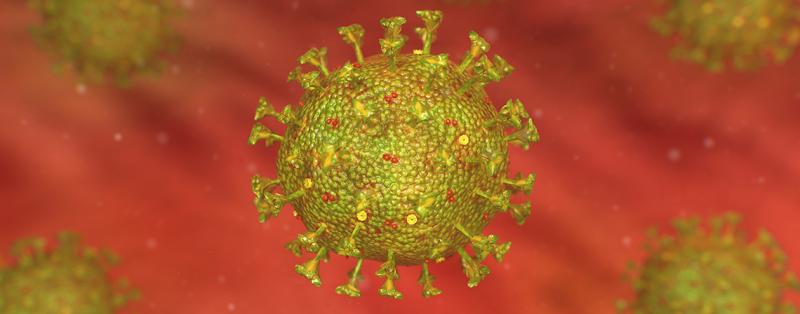 3D-Grafik des Virus SARS CoV-2