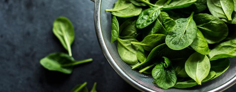 Nährstoffe beim Kochen erhalten: Gemüse idealerweise mit nur zwei Drittel der maximalen Herdleistung kochen. Die Garzeit sollte so kurz wie möglich sein Frsiche Spinatblätter in einem Sieb auf dunklem Hintergrund