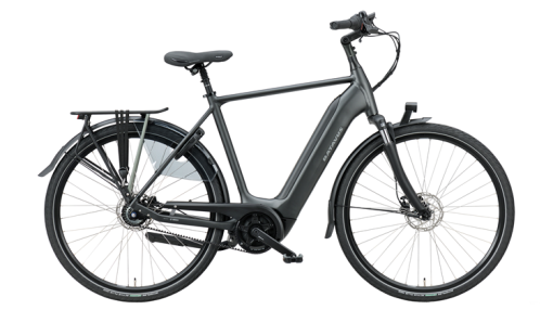 BATAVUS Finez E-Go Power Exclusive - 2021