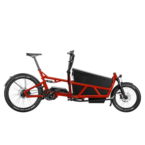 Riese & Müller - Load 60 rohloff mit GX-Option Cargo Platz 3 2020