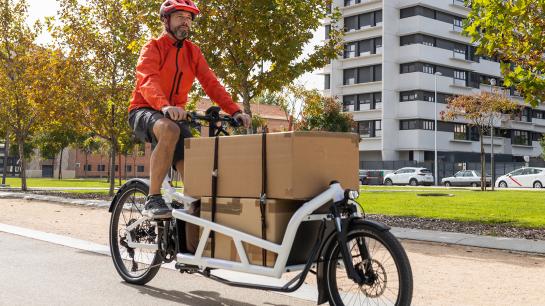 Das richtige E-Lastenrad für jeden Typ