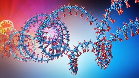 Bildbeschreibung nicht verfügbar