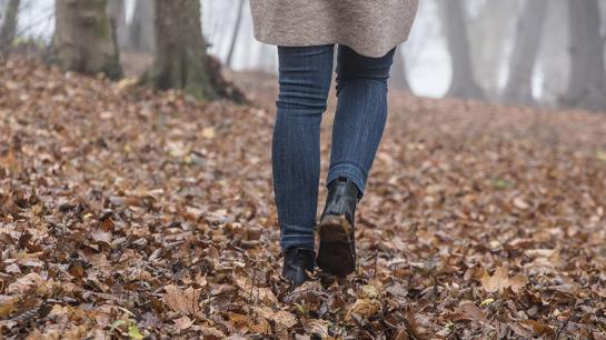 Bildbeschreibung nicht verfügbar