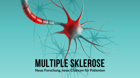 Bildbeschreibung nicht verfügbar