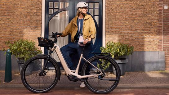 Fahrradtrger fr E-Bikes